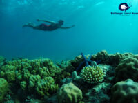 DCIM101GOPROGOPR5168.