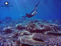 DCIM102GOPROGOPR5586.