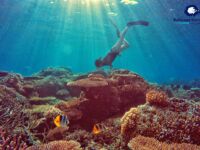 DCIM102GOPROGOPR5610.