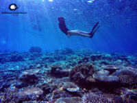 DCIM102GOPROGOPR5587.